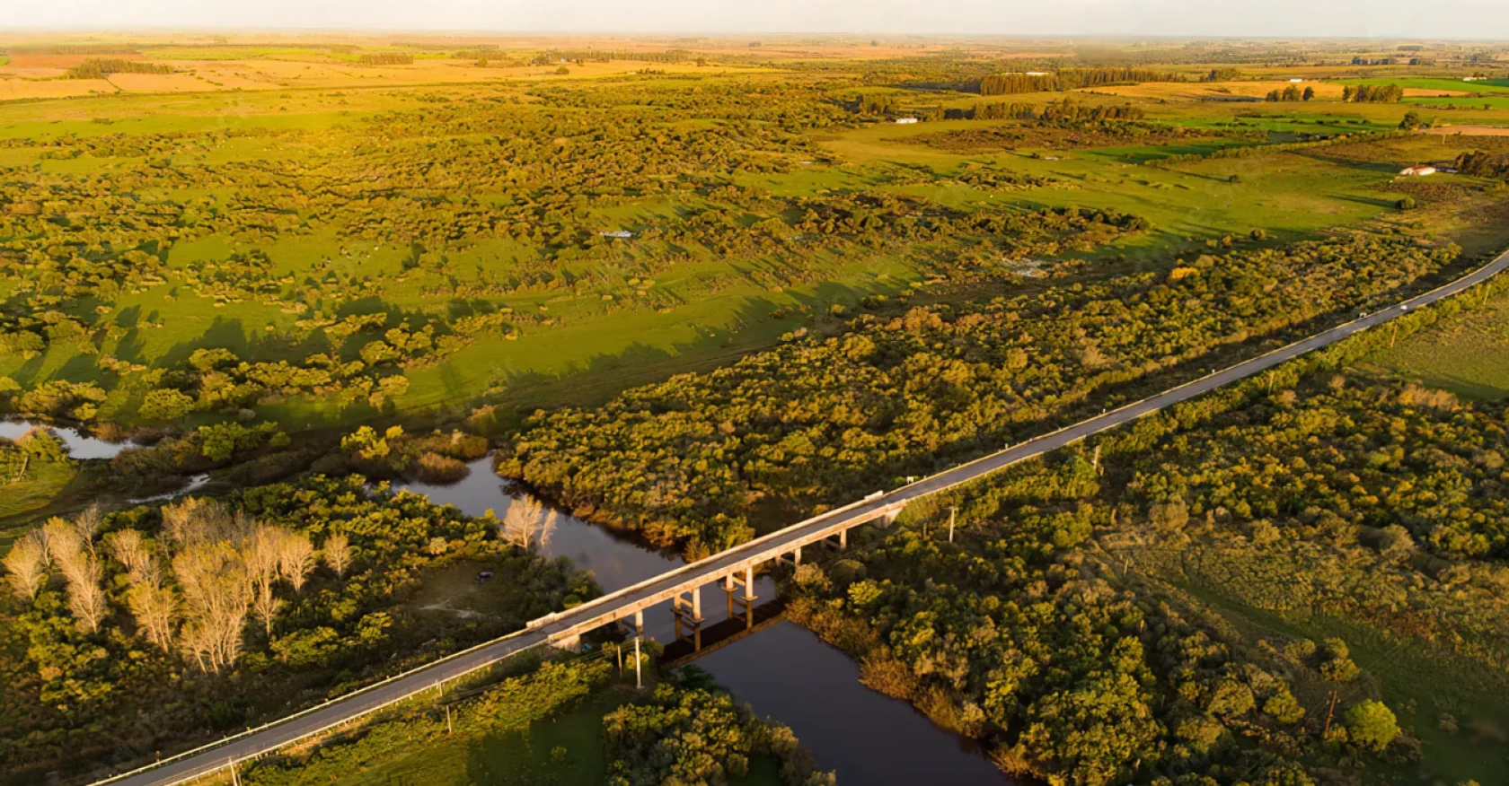 La Cámara Uruguaya de Inmobiliarias Rurales sigue creciendo con la ética como pilar