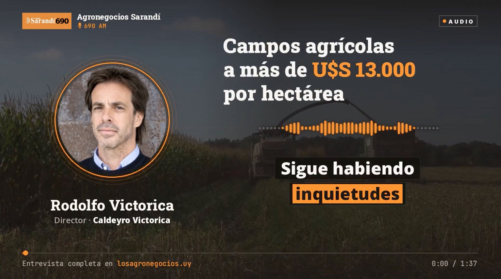 Campos agrícolas en Soriano superan los U$S 13.000 por hectárea en un mercado firme