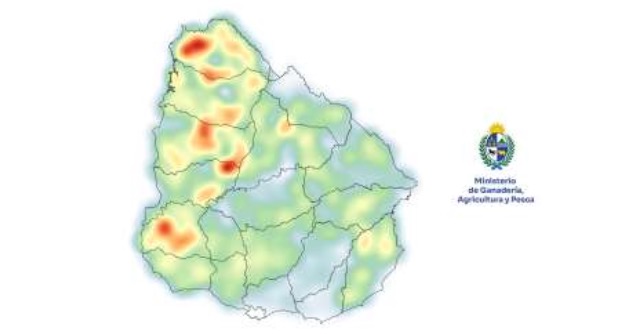 Arrendamientos rurales: la tierra mantiene su firmeza en Uruguay