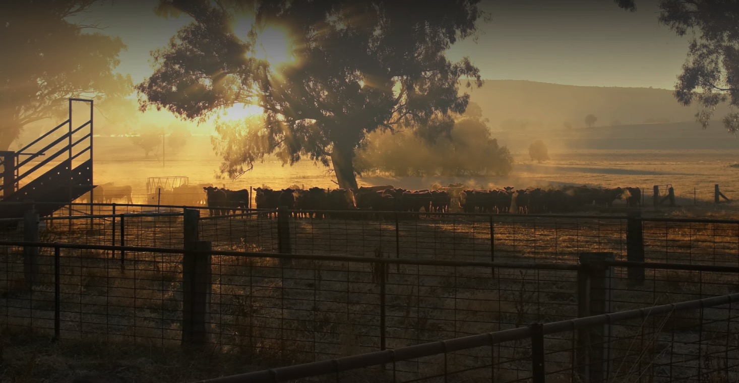 Cambio de tendencia en el mercado de campos: hay mayor demanda de inversores brasileros y uruguayos