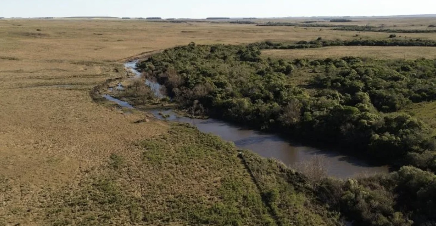 Victorica & Asociados colocó campo ganadero de 960 hás. en Paysandú a través de licitación en 2.513 US$/hectárea