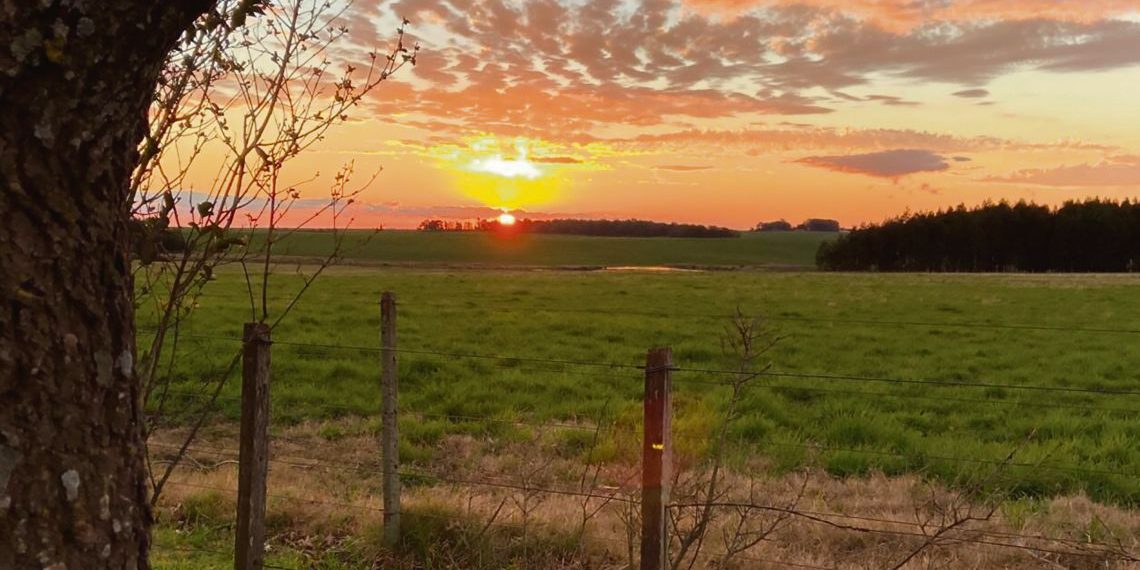 Va a ser bueno para el mercado que se sinceren los valores de los campos