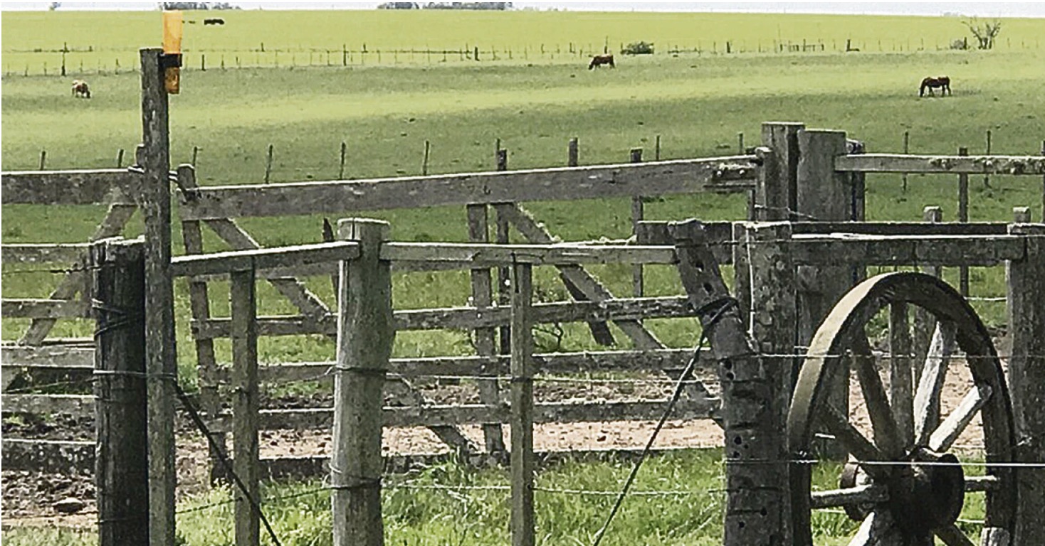 La compra de tierra está siendo vista como un refugio de capital, aunque lo ha sido históricamente, ahora más