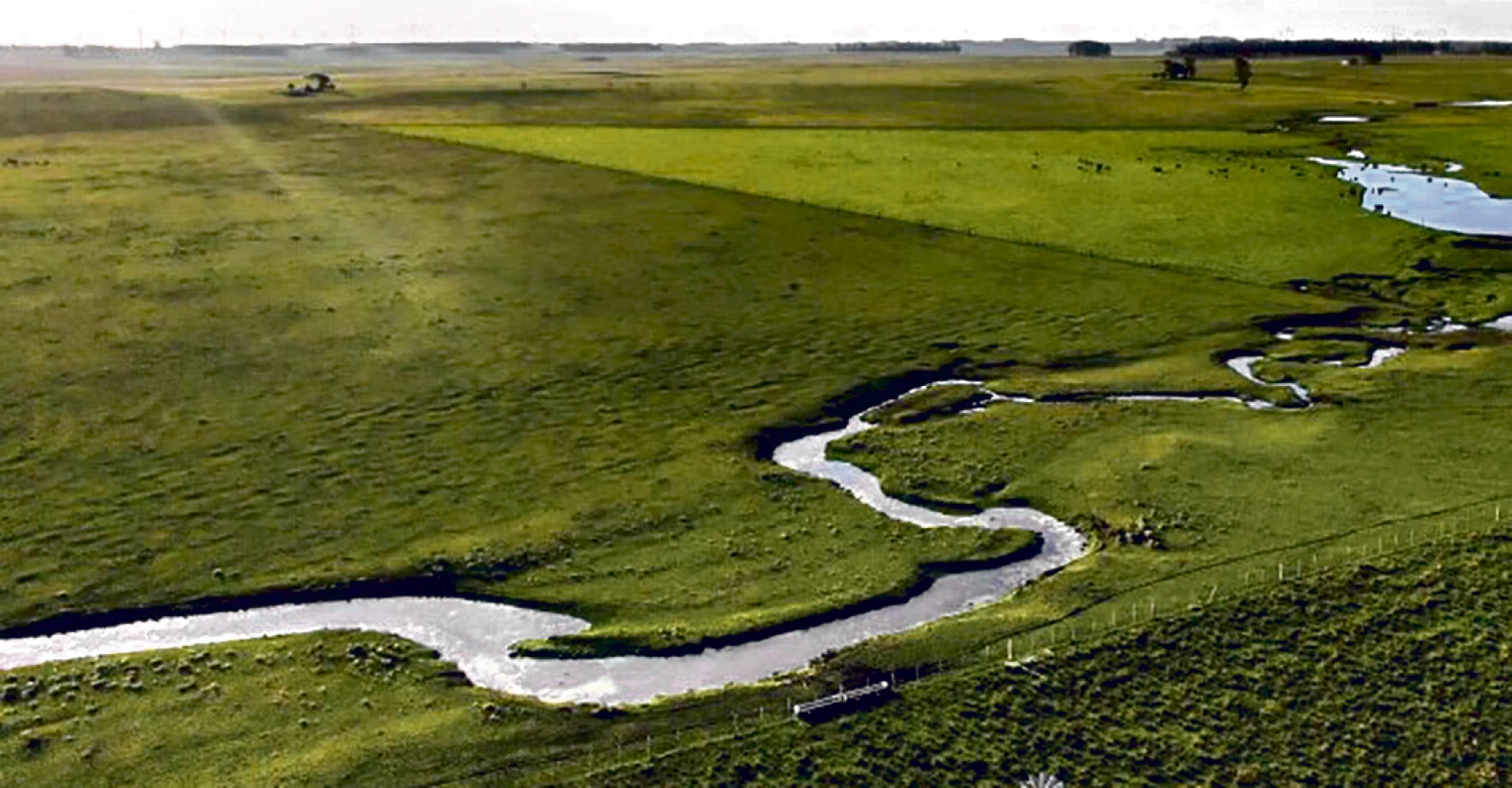 El 2024 fue un buen año para la venta de campos