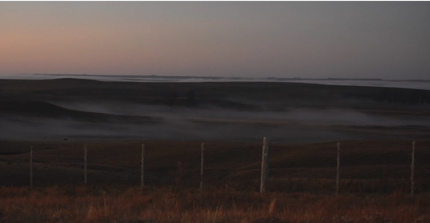 Federico Delgue analizó el mercado de tierras: “Uruguay ofrece certezas en un mundo volátil”