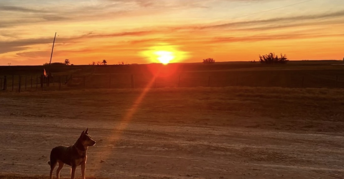 La Cámara de Inmobiliarias Rurales solicita a Colonización no excluir al corredor de campo en ventas por opción de compra