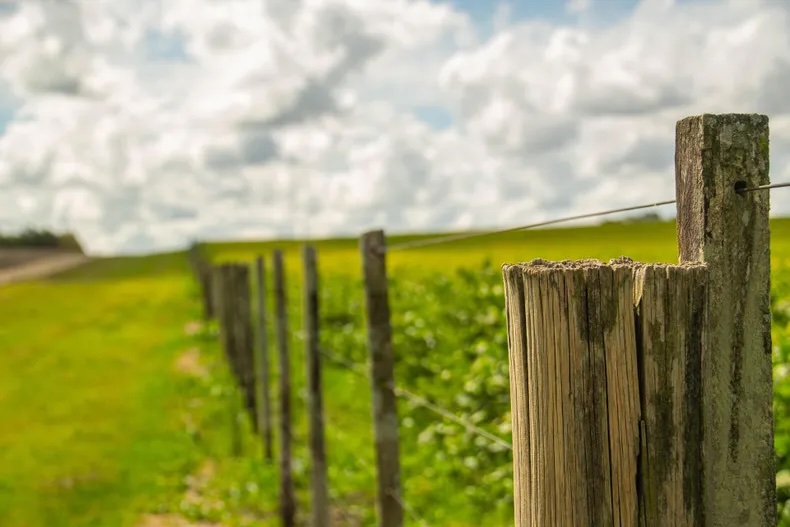 El 2025 comenzó con importantes inversiones de extranjeros en tierras