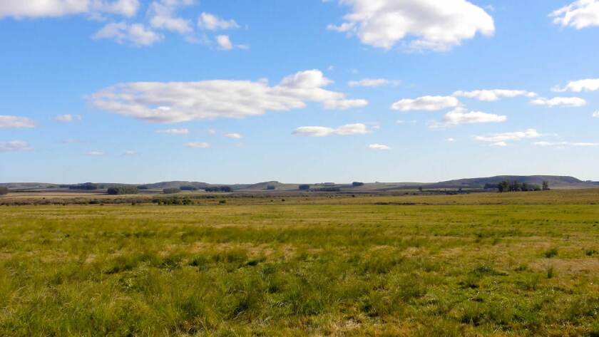 En Uruguay, los campos siguen siendo refugio de capital ante la volatilidad global | Christopher Brown, Director de Agro Oriental