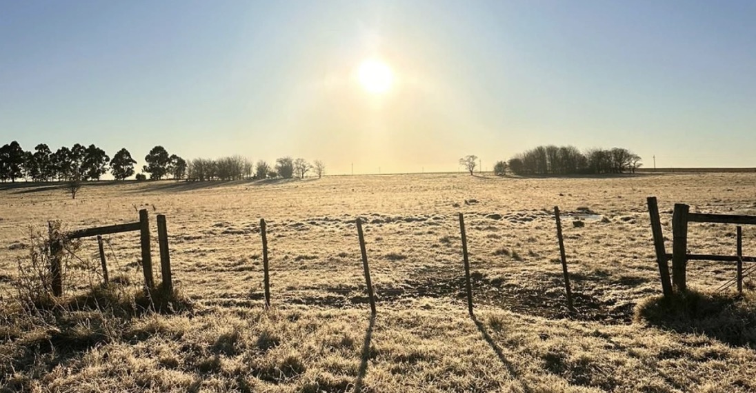 El mercado de los campos en Uruguay: firmeza en la ganadería y cautela en la agricultura