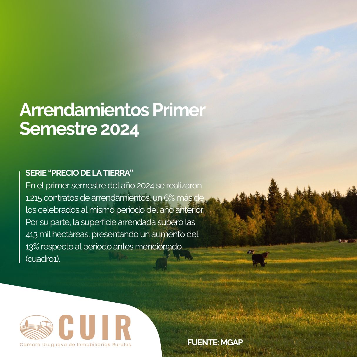 Arrendamientos Primer Semestre 2024