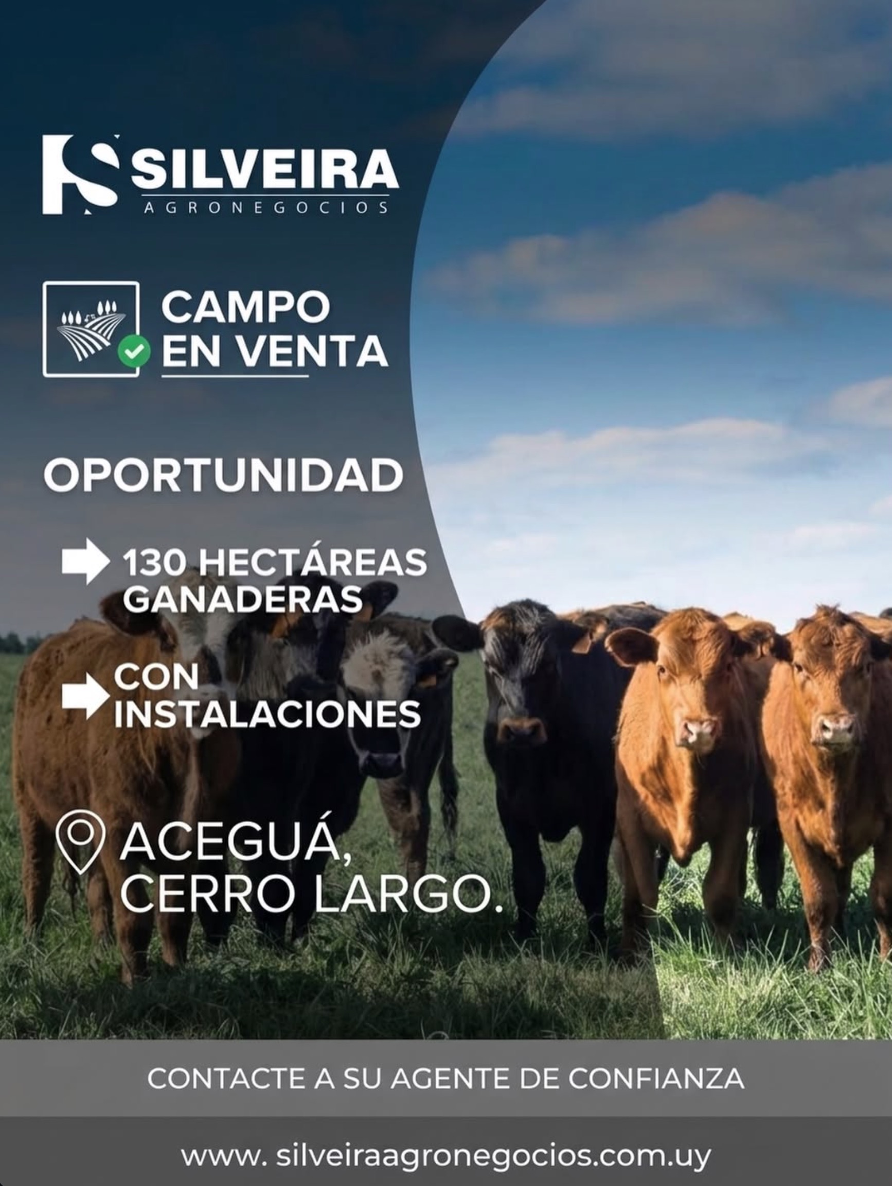 Venta / Acegua / Cerro Largo — foto 1