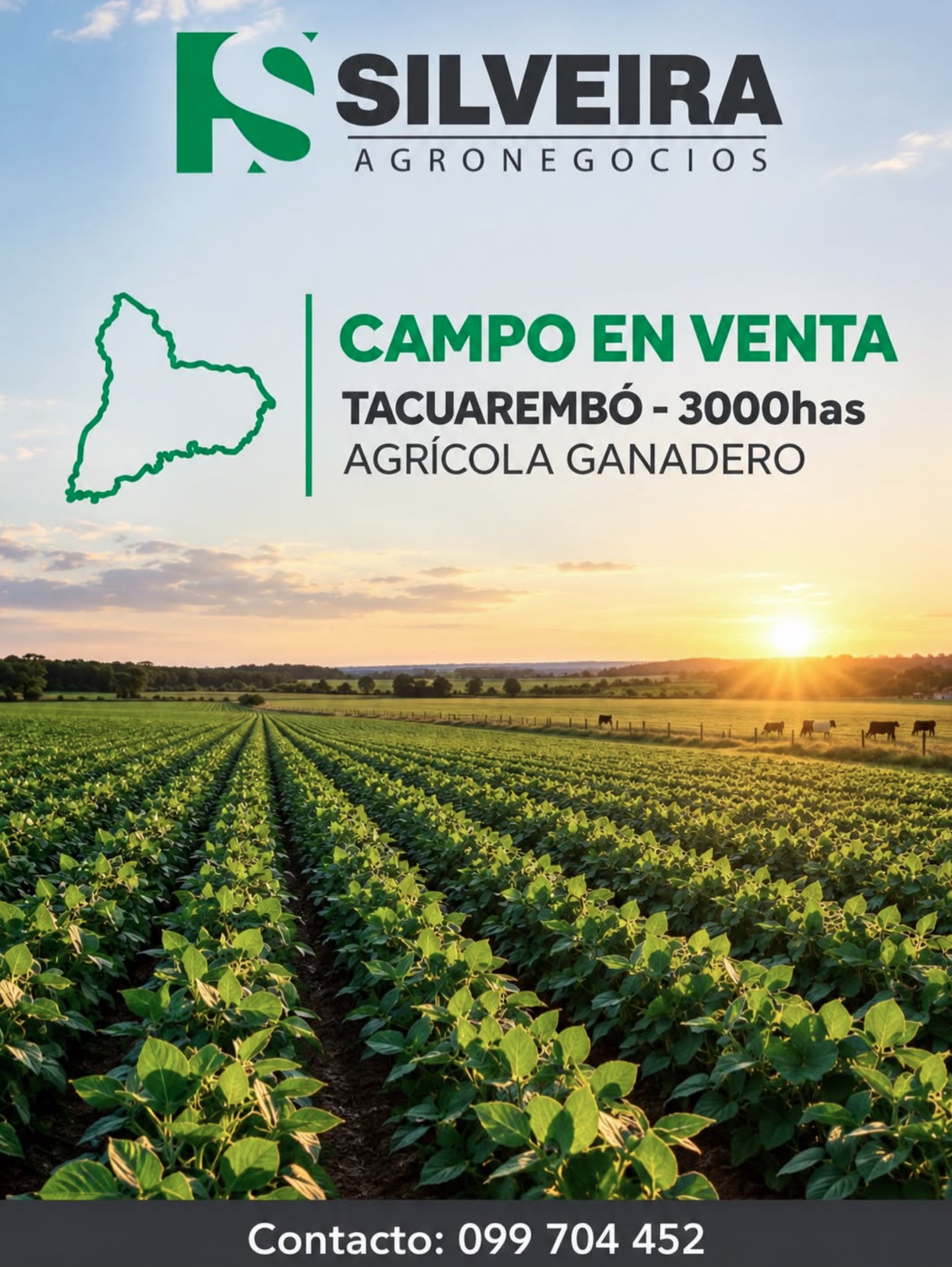 Venta / 1 / Tacuarembó — foto 1