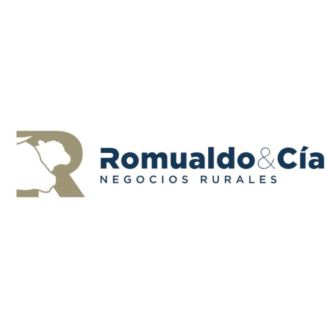 Escritorio Romualdo Rodriguez Ltda