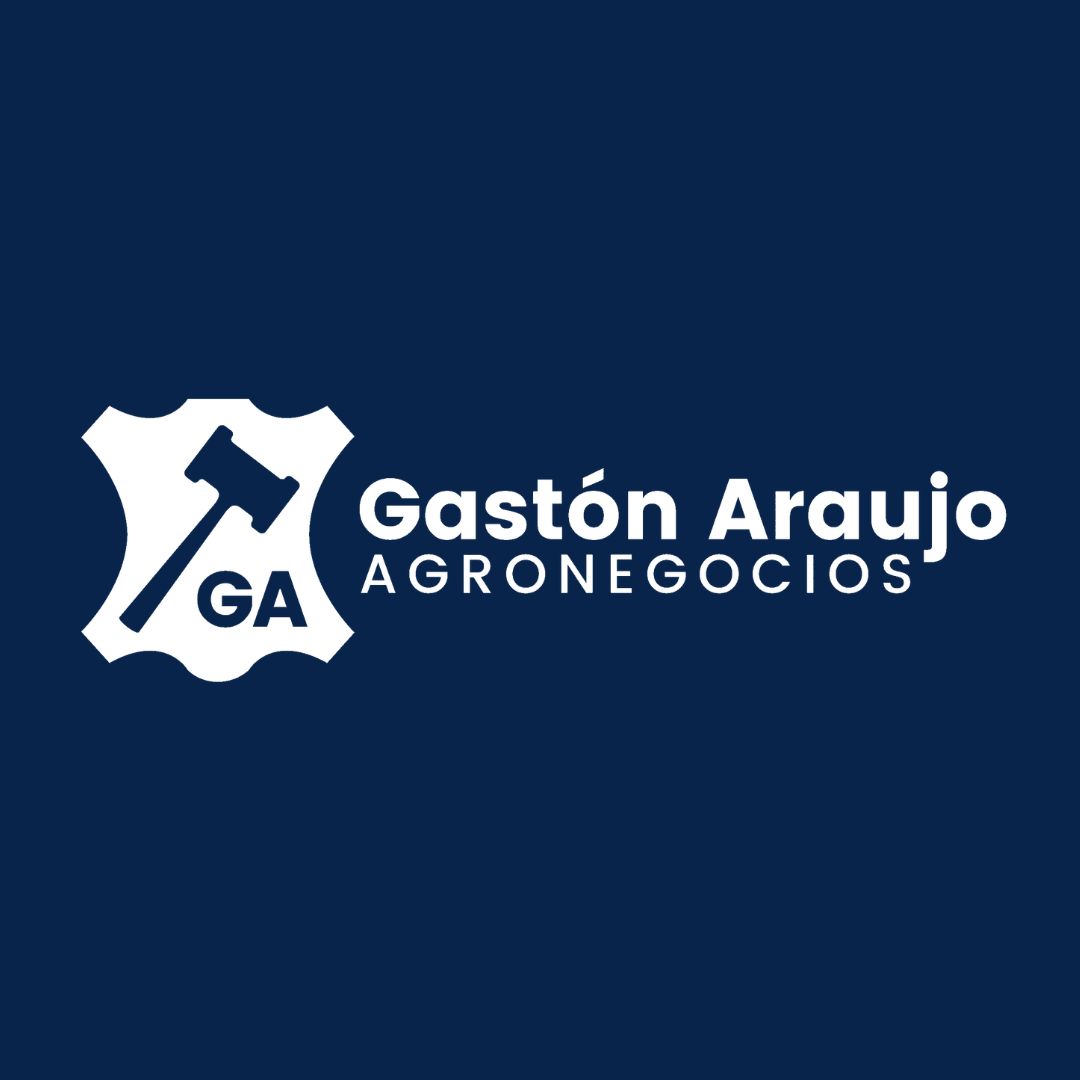 Gastón Araujo Mello