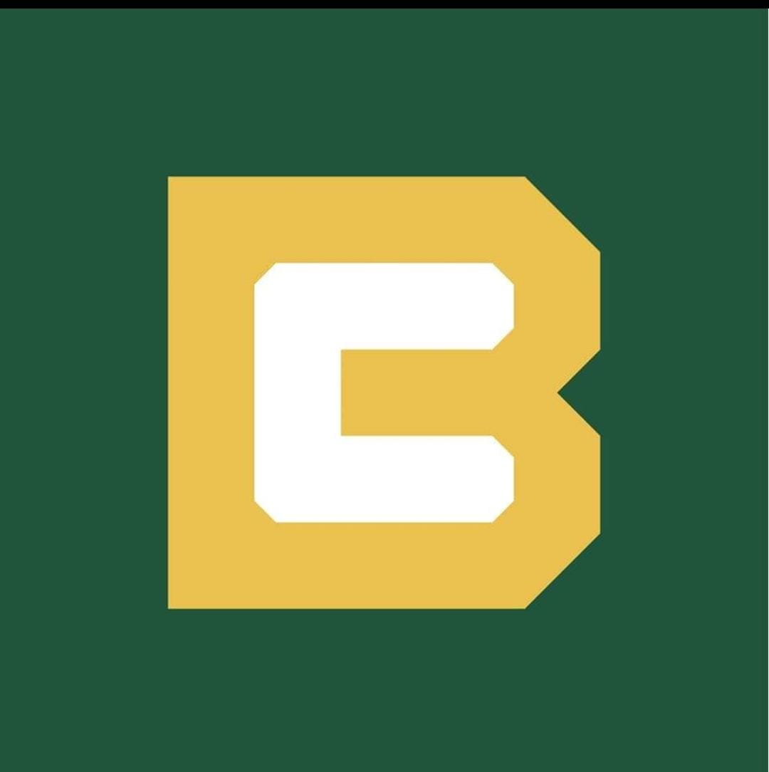 Carlos Bachino Agronegocios