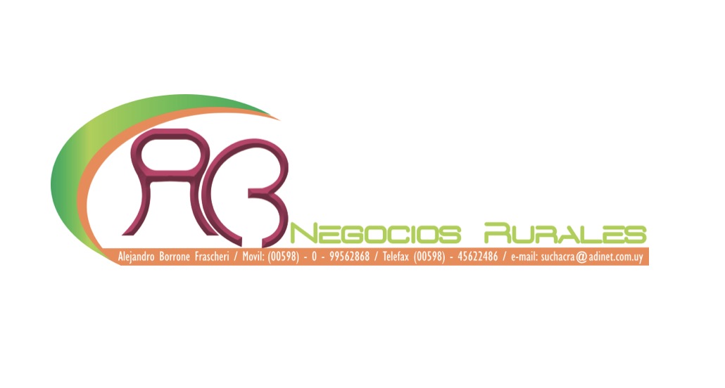 ALEJANDRO BORRONE FRASCHERI